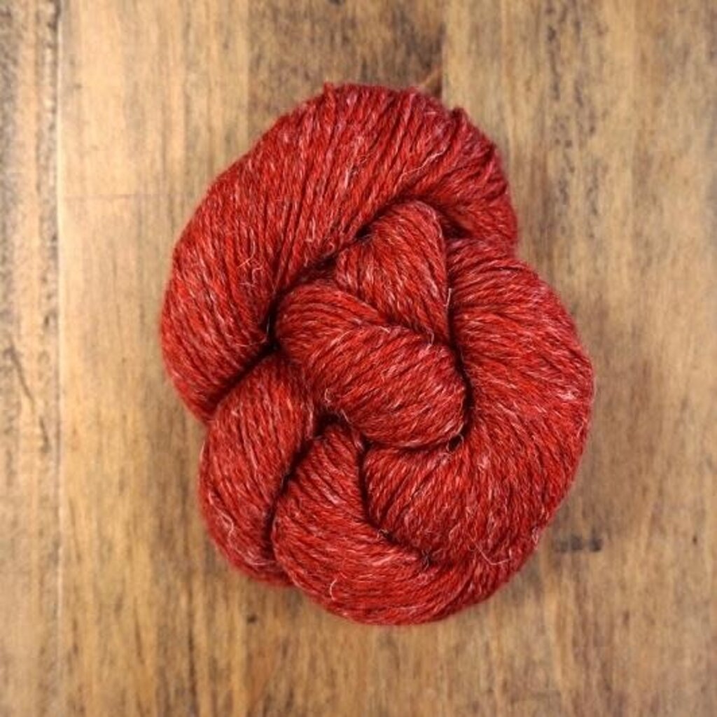 Stolen Stitches Nua Sport