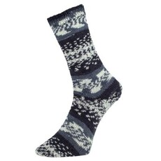 Pro Lana Fjord Sock
