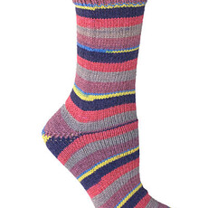Berroco Comfort Sock