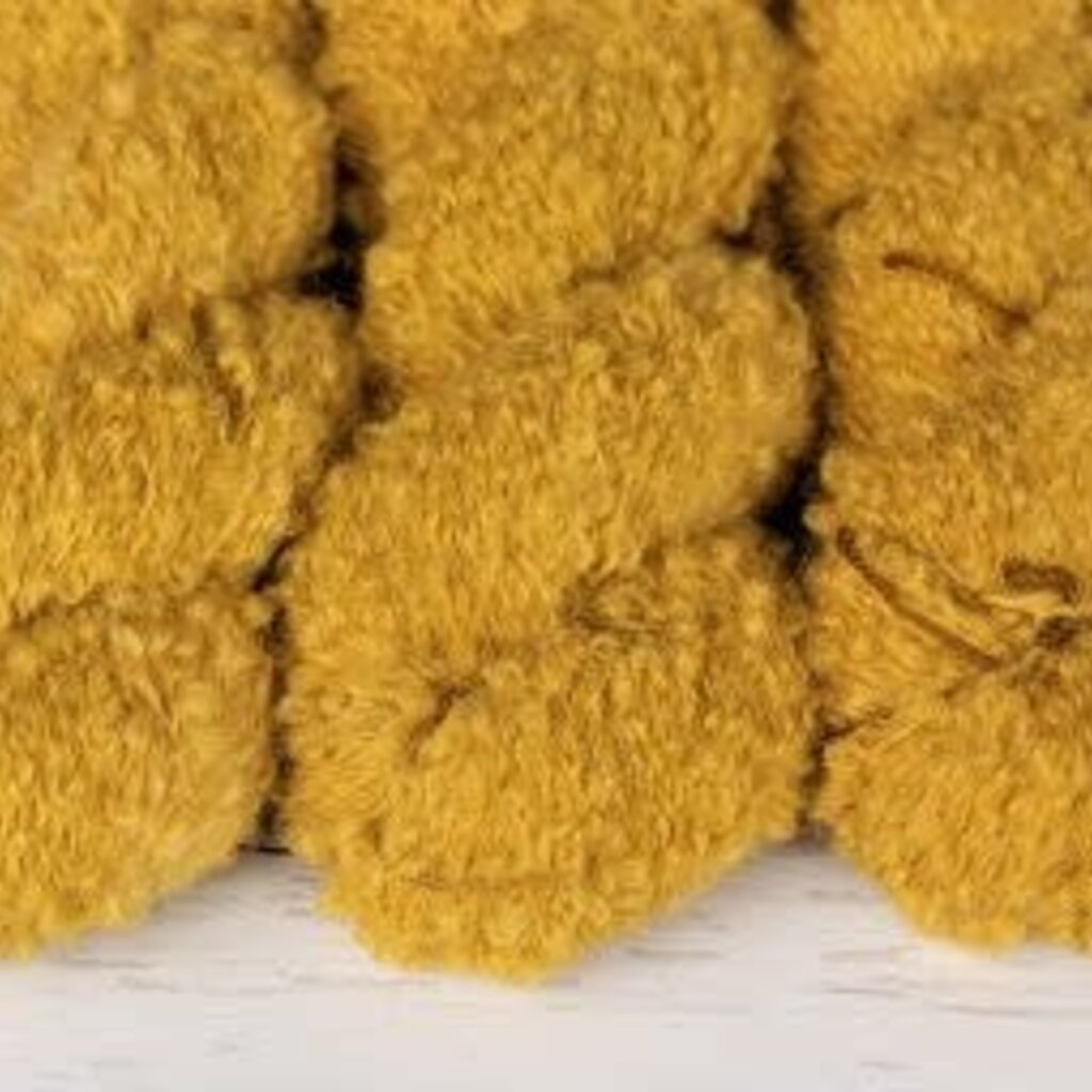 Julie Asselin Boucle