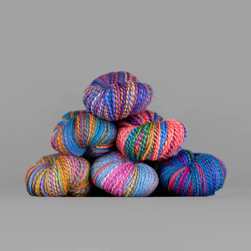 Spincycle Yarns Dyed in the Wool - Side Quest