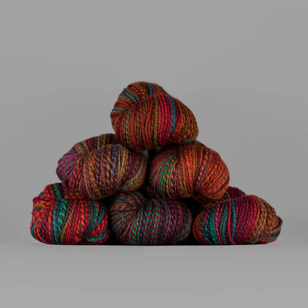 Spincycle Yarns Dyed in the Wool  Rusted Rainbow