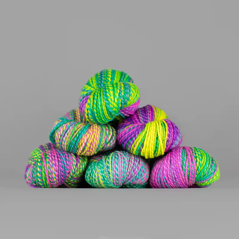 Spincycle Yarns Dyed in the Wool - Vibe Check