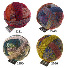 Schoppel Wolle Zauberball Starke 6ply