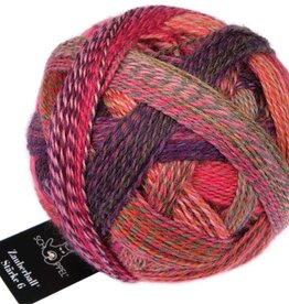 Schoppel Wolle Zauberball Starke 6ply