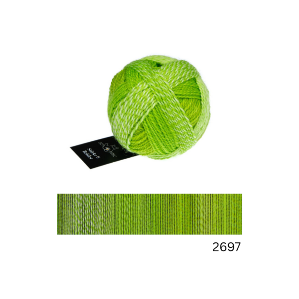 Schoppel Wolle Starke 6 Bruder