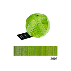 Schoppel Wolle Starke 6 Bruder