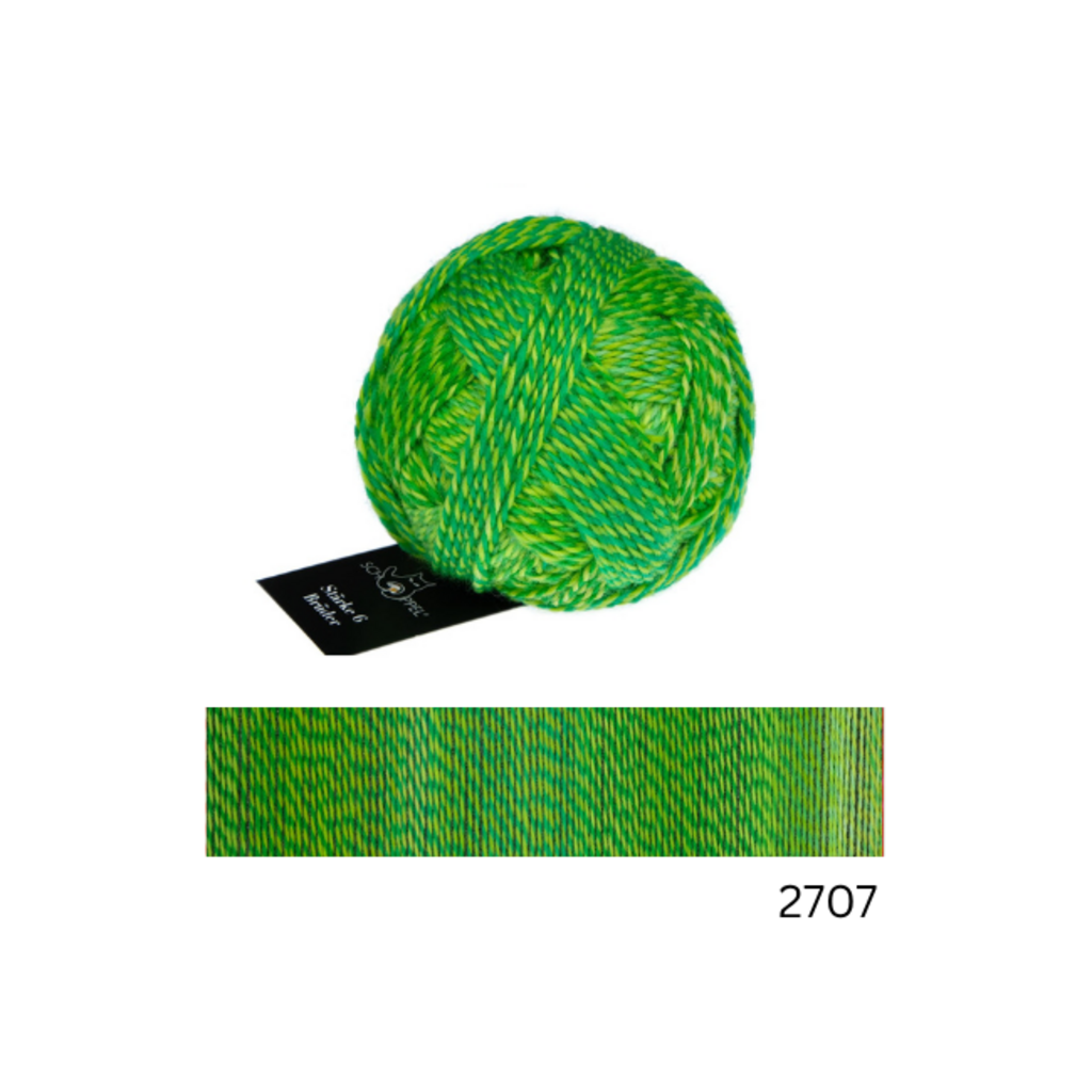 Schoppel Wolle Starke 6 Bruder