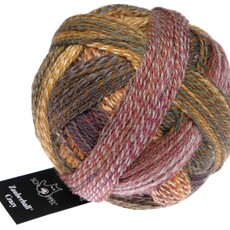 Schoppel Wolle Zauberball Crazy