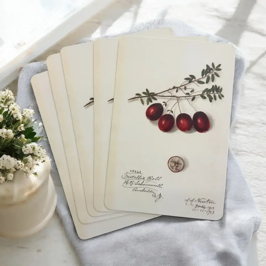 Vintage Botanical Project Goal Cards