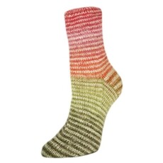 Rellana Garne Flotte Socke 4ply Perfect Rainbow