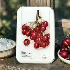 Firefly Notes Notions Tin Large