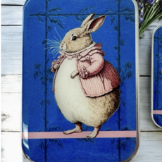 Firefly Notes Notions Tin Large