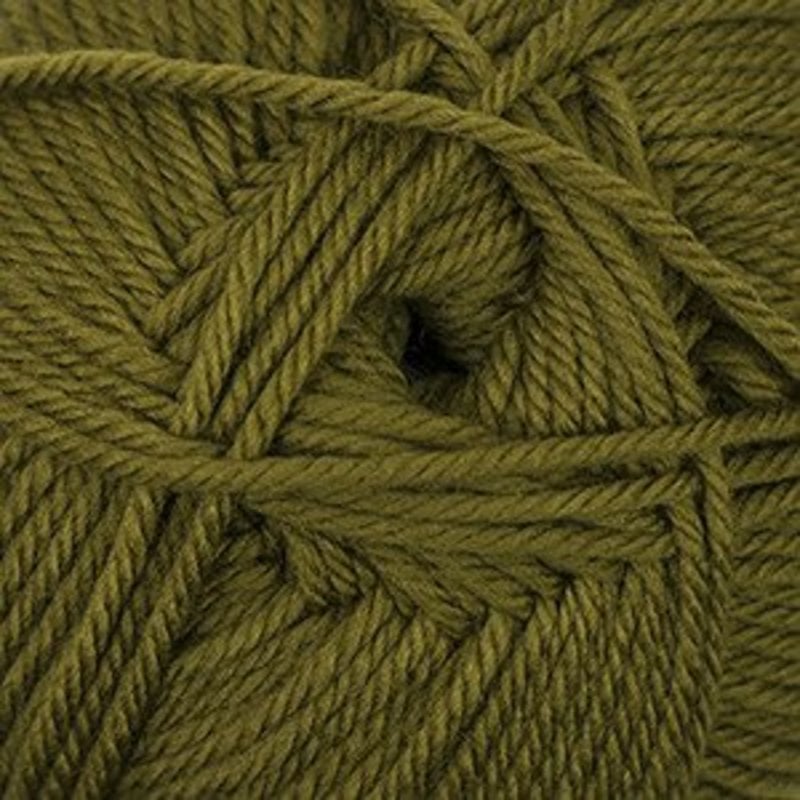 Cascade 220 Superwash Merino - Tapenade (68)*