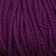 Cascade Cascade Yarns Boliviana Bulky - Anemone (01)