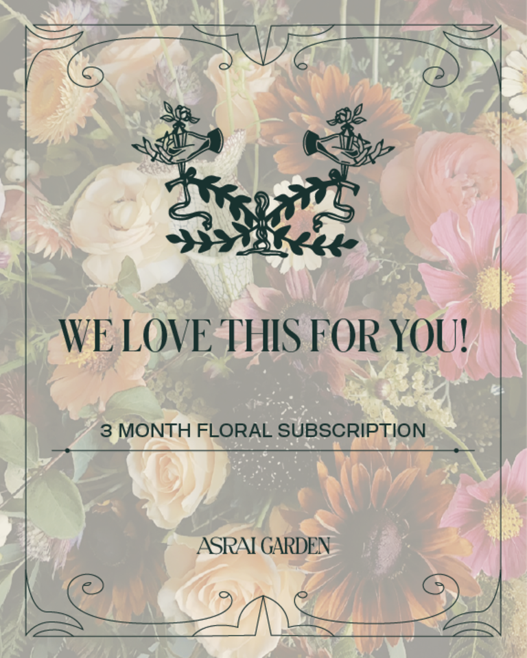 Asrai Garden 3 Month Floral Subscription