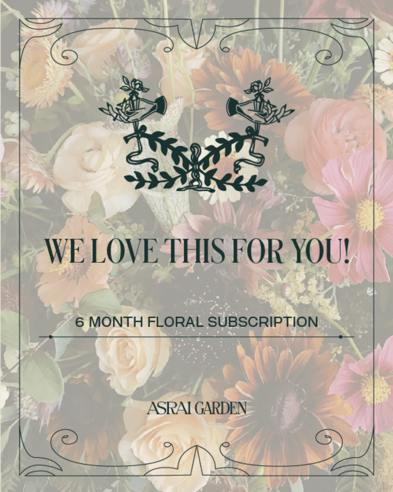 6 month flower subscription - Starting at $45 per month in Provo, UT