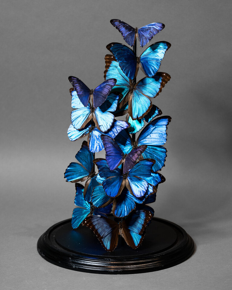 The Butterfly Company The Butterfly Company - Blue Cloud Cloche