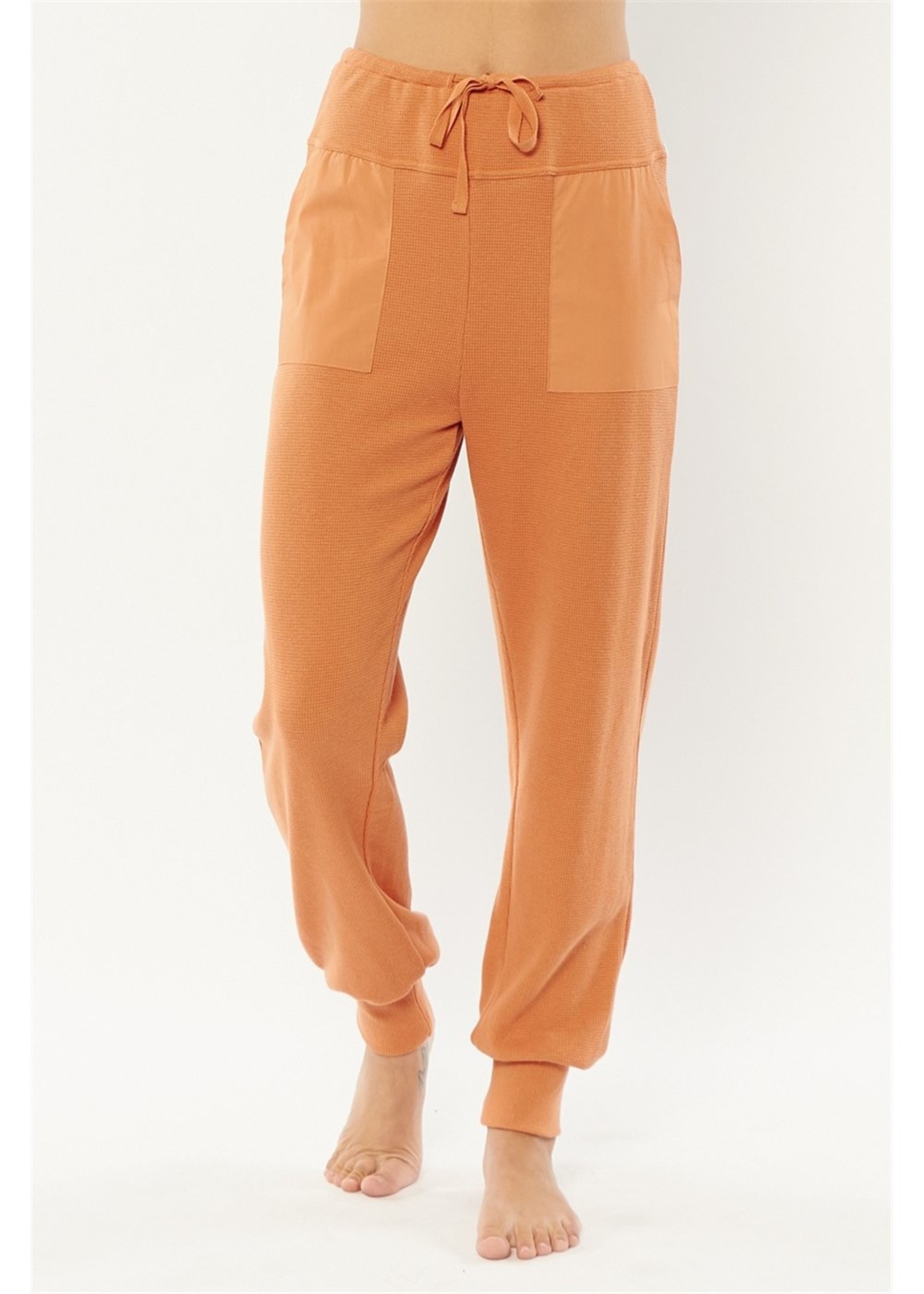 Sisstrevolution Sisstr - Niko Knit Pant