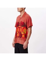 Obey Obey - Fruit Bowl Woven