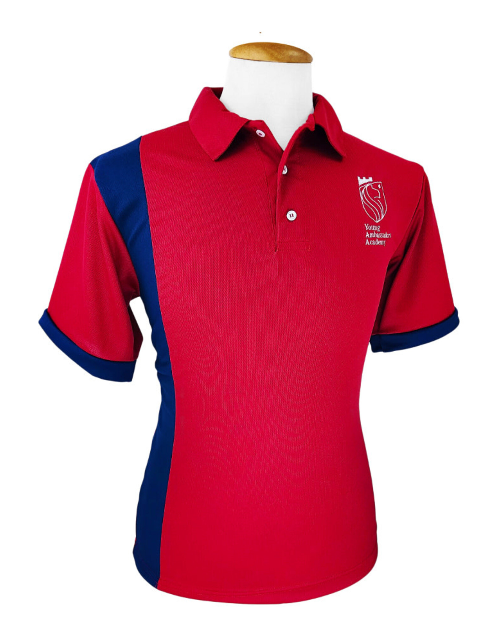 Young Ambassadors Acad. Polo Vino | K a 6to | Young Ambassadors Acad.