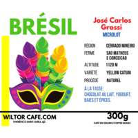 Café Brésil | José Carlos Grossi | Wiltor Café | 300g