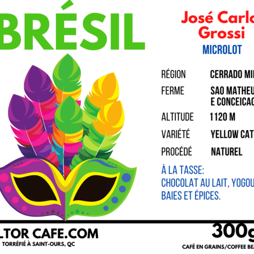 Café Brésil (José Carlos Grossi) | Wiltor Café | 300g 