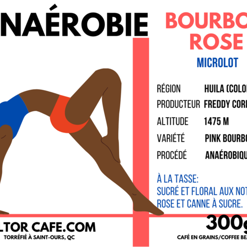 Café Anaérobie (Bourbon Rose) | Wiltor Café | 300g 