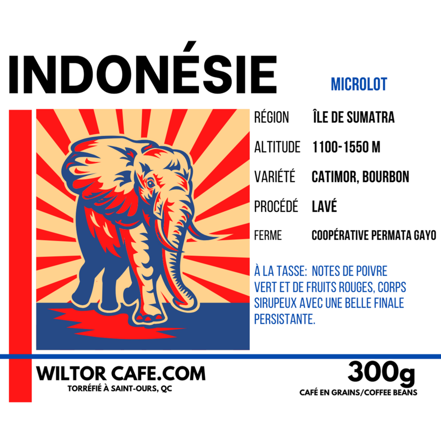 Sumatra | Wiltor Café | 454 g