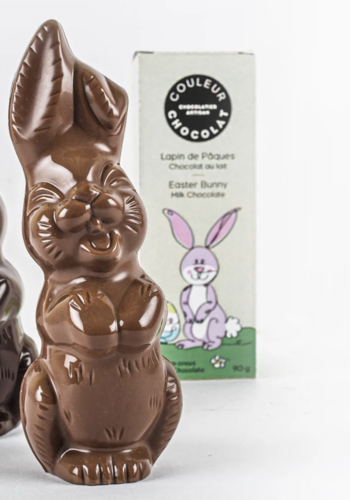 Lapin de Pâques (Chocolat au lait) - Couleur Chocolat 90g 