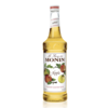 Apple Syrup - Monin 750 ml