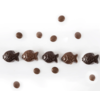 Chocolat poissons caramel salé - Couleur Chocolat 65g