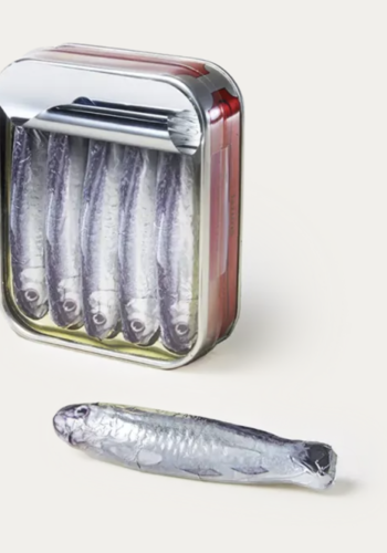 Tin of sardines in milk chocolate - Michel Cluizel 75g 