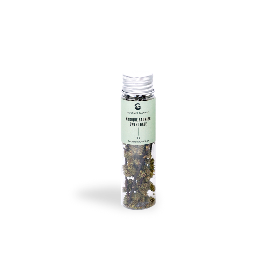 Sweet gale - Wild gourmet 6g