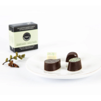 Chocolat forestier, Collection Aventurier - Couleur Chocolat 40g