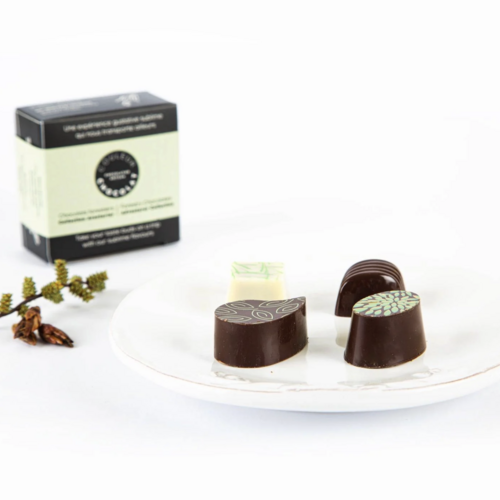 Forest Chocolate, Adventurer Collection - Couleur Chocolat 40g 