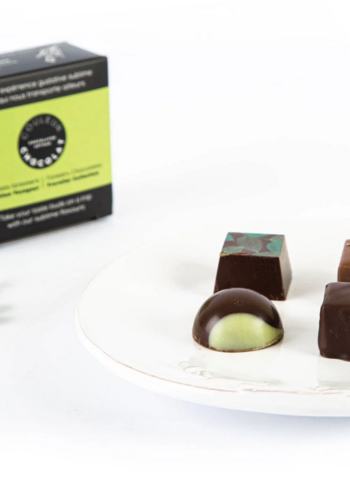 Forest Chocolate, Traveler Collection - Couleur Chocolat 40g 