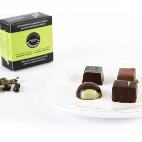 Forest Chocolate, Traveler Collection - Couleur Chocolat 40g 