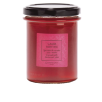Blackcurrant and mint jelly - Dammann Frères 235g