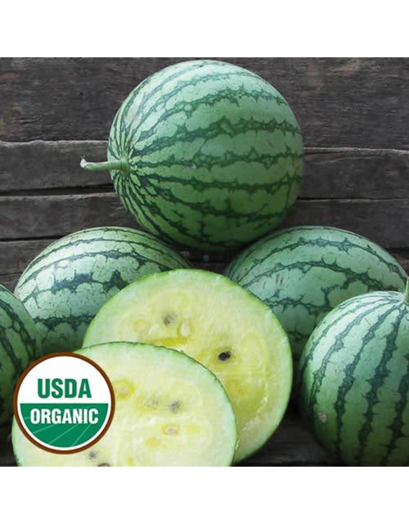 Seed Saver's Exchange Watermelon, Petite Yellow