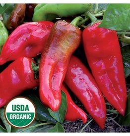 Seed Saver's Exchange Pepper, Tolli's Sweet Italian - Sweet