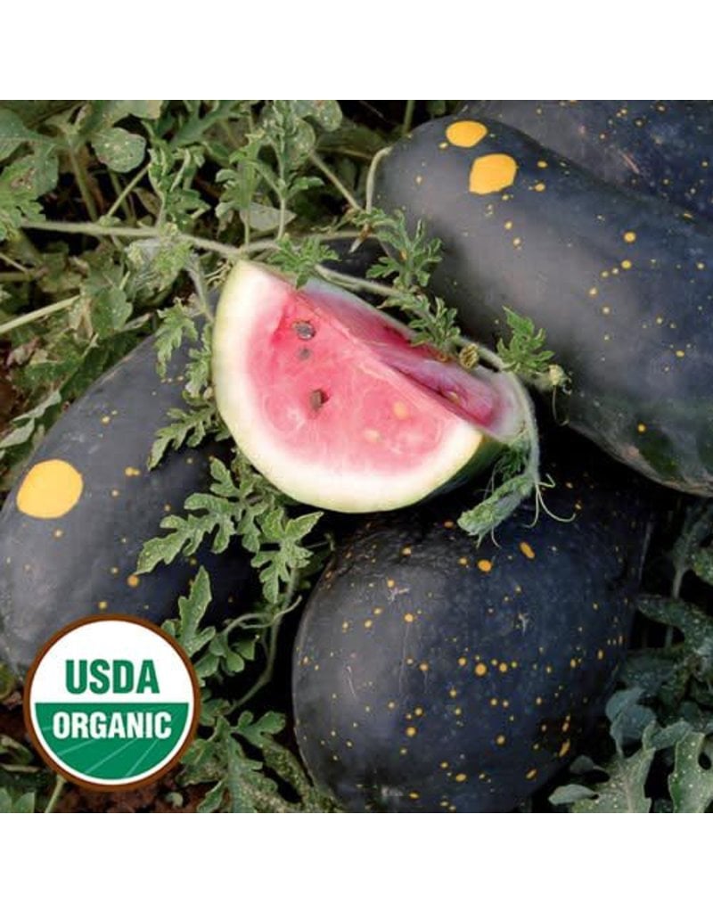 Seed Saver's Exchange Watermelon, Moon & Stars (Cherokee)
