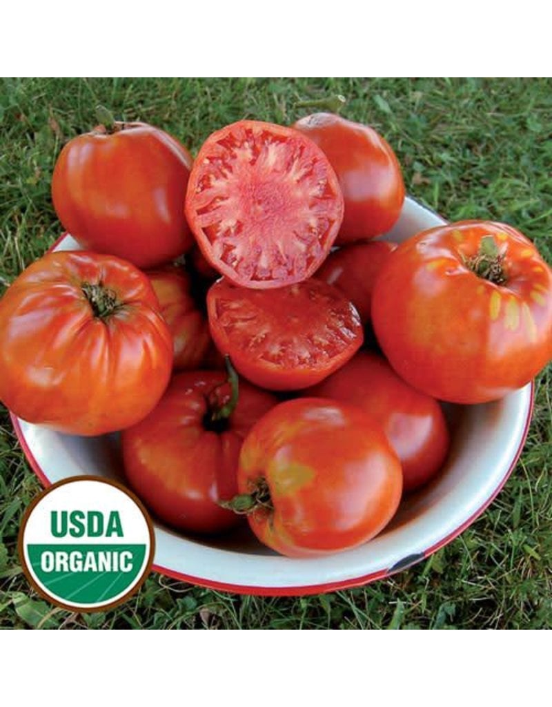 Seed Saver's Exchange Tomato, Italian Heirloom