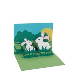 Card - Pop Up Bunny