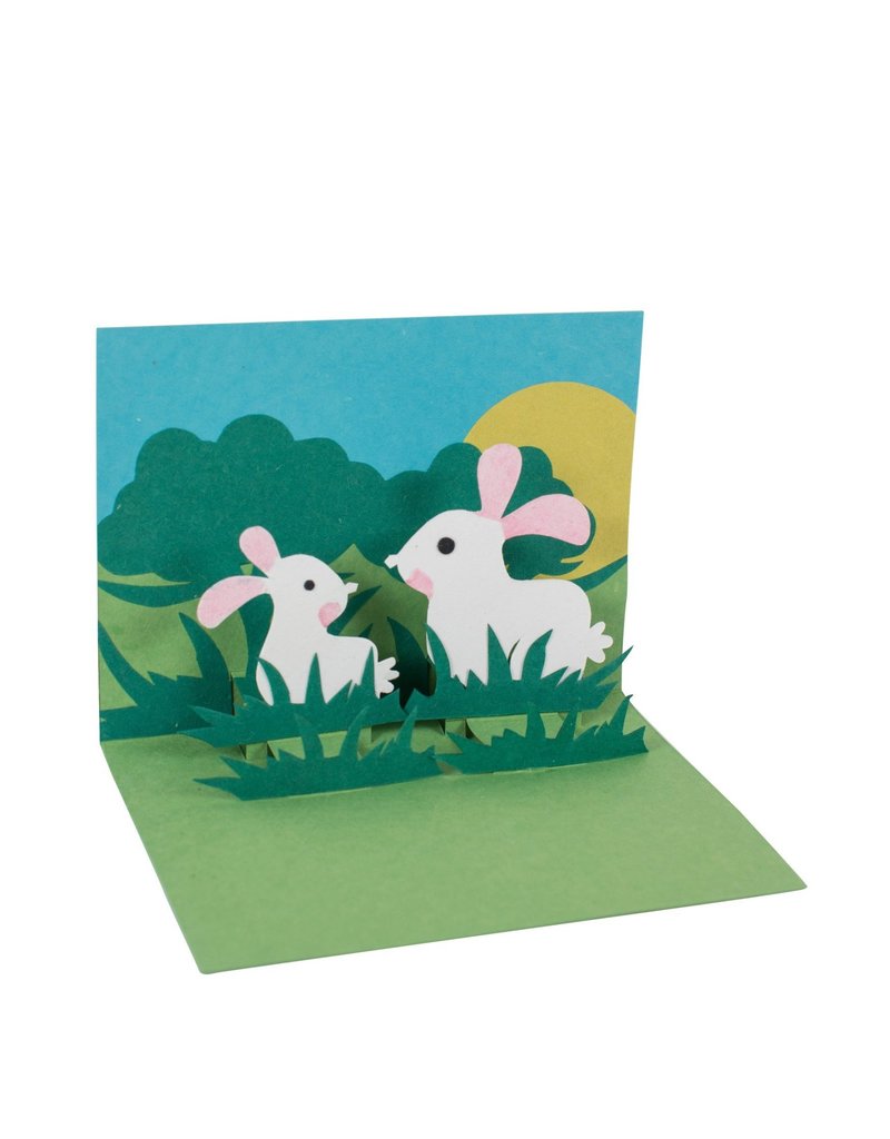 Card - Pop Up Bunny