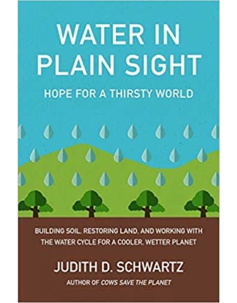 Water in Plain Sight