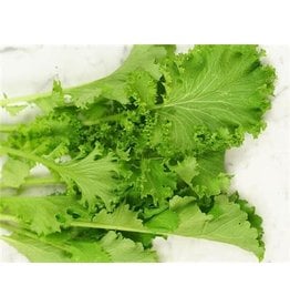 Baker Creek Seeds Mustard Greens, Southern Giant Curled