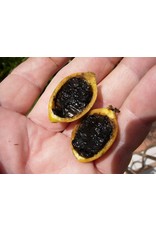 Blackberry Jam Fruit