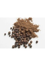 Allspice
