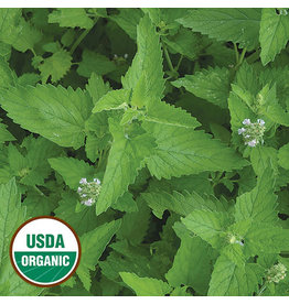 Seed Saver's Exchange Herb, Catnip (organic)